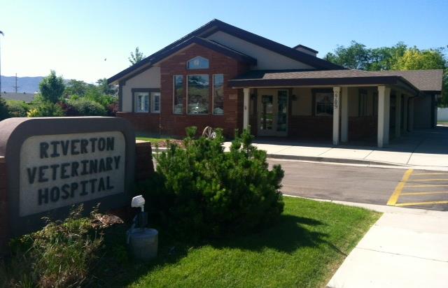 Veterinary Clinic in | Riverton Veterinary Clinic