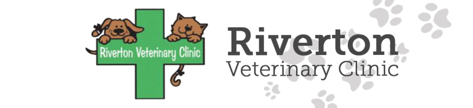 Animal Hospital In Riverton Utah Riverton Veterinary Clinic