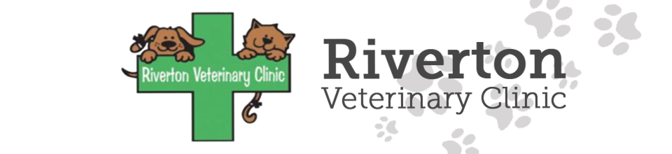 animal hospital in riverton utah riverton veterinary clinic riverton utah riverton veterinary clinic